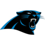 NFL Divisional Playoffs – Seattle Seahawks vs. Carolina Panthers