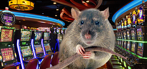 rat-casino