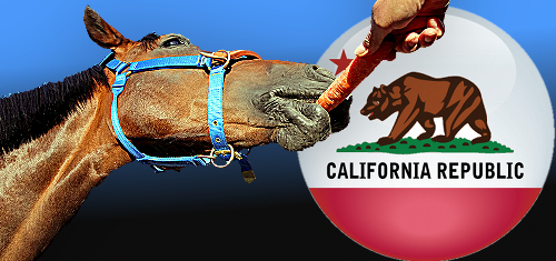 california-online-poker-bill-horse-carrot