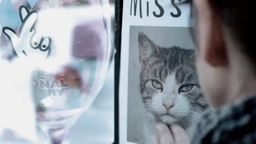 National Lottery under fire over ‘heartless’ missing cat ad campaign