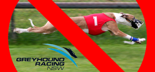 greyhound-racing-new-south-wales-ban