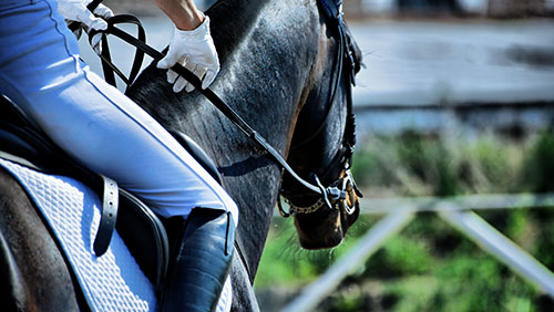 Macau’s horse racing revenue loss gallops to $11M in 2015 