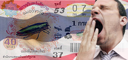 thailand-lottery-not-worth-playing