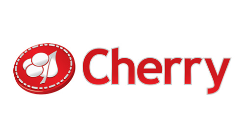 Anders Holmgren appointed CEO of Cherry AB (publ)