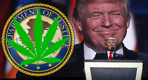 donald-trump-doj-medical-marijuana