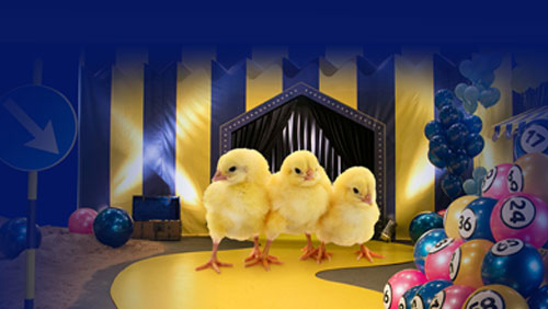 HATCH OF THE DAY: GalaBingo.com hosts live lottery game featuring hatching chicken eggs