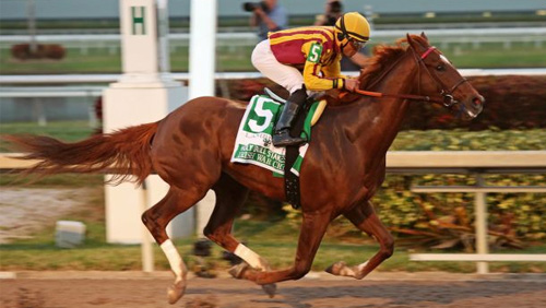 Irish War Cry Returns as Belmont Favorite After Skipping Preakness