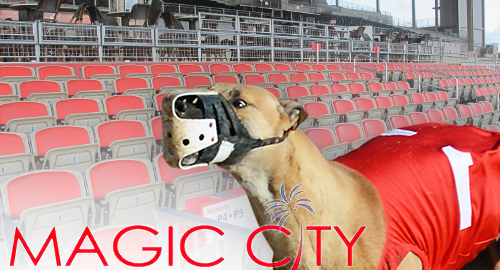 florida-magic-city-dog-track-decouple