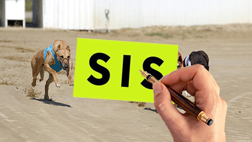 SIS signs greyhound rights deals with Central Park and Henlow