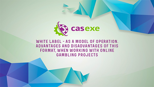 CASEXE summarized the results of its White Label webinar