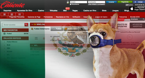 mexico-online-gambling-market