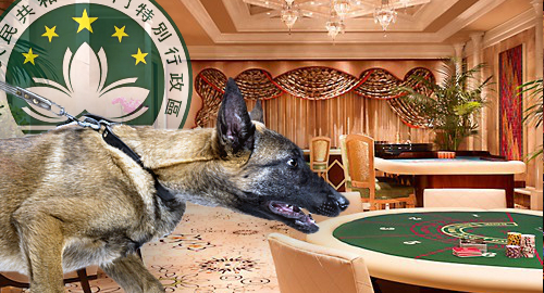 macau-tight-leash-casino-junket-operators