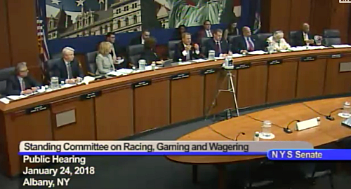 new-york-senate-sports-betting-hearing