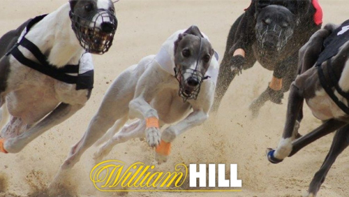 William Hill the first major UK bookmaker to take SIS’s ‘watch & bet’ Greyhound service