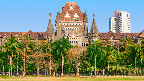 High court ruling may pave way for legal fantasy sports betting in India