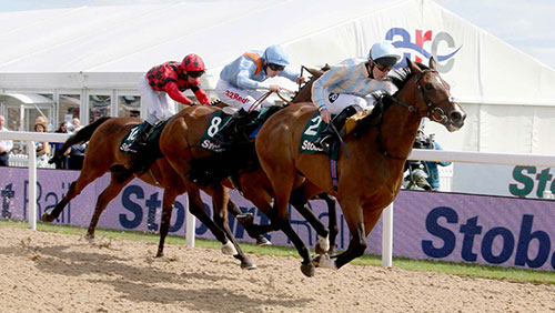 STOBART GROUP SET TO SPONSOR NORTHUMBERLAND PLATE MEETING AT NEWCASTLE