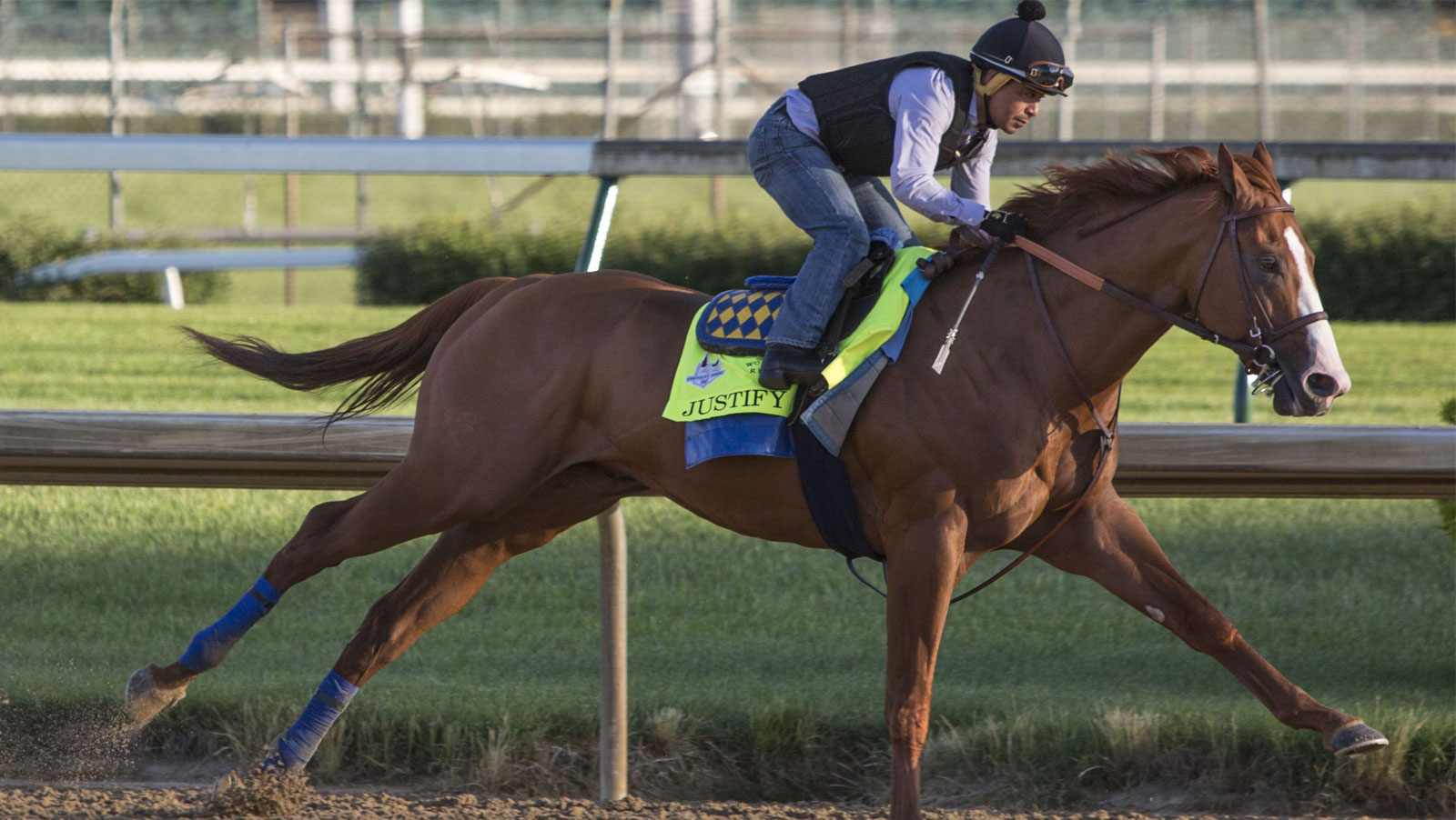 Belmont Stakes Betting Preview: Justify Leads the Pack