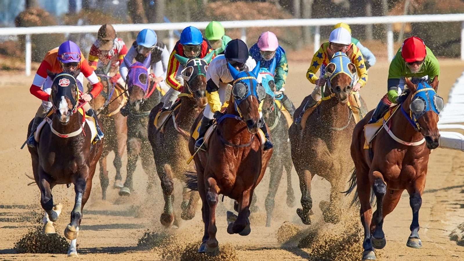 Massachusetts accidentally bans horse racing; tracks suspend operations
