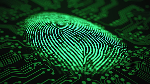 Cashless biometric betting machines hit the market