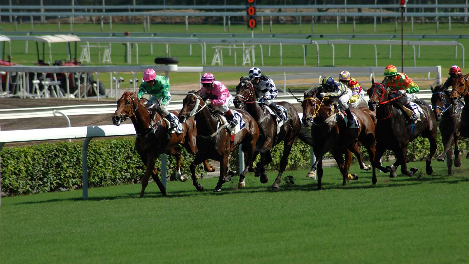 India's RummyCircle to launch gambling site for horse races