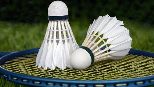 online games of badminton