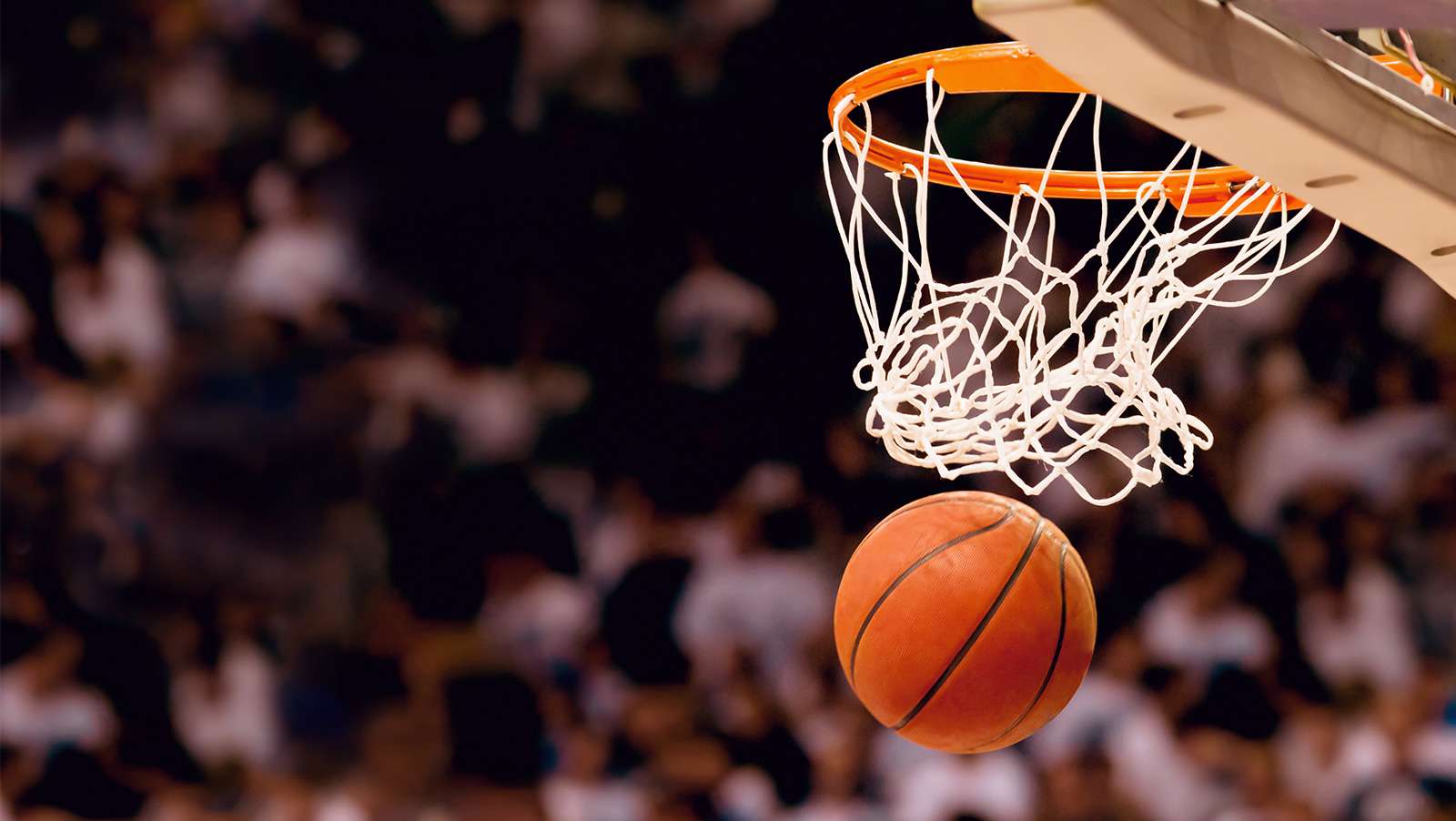 NBA Championship Odds: Warriors Unchallenged