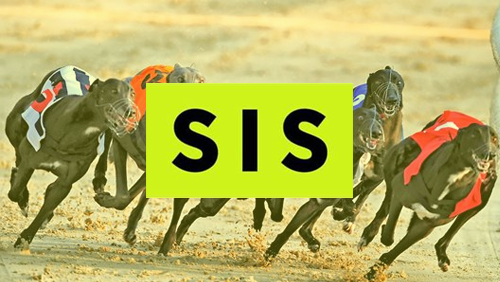 BetVictor broadens greyhound product offering with SIS partnership