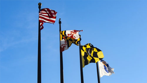 Maryland won't see sports gambling this year