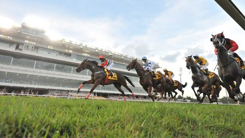 SIS renews Singapore racing deal