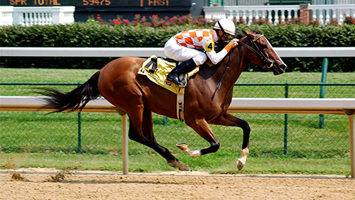 Preakness Stakes odds: Improbable atop board