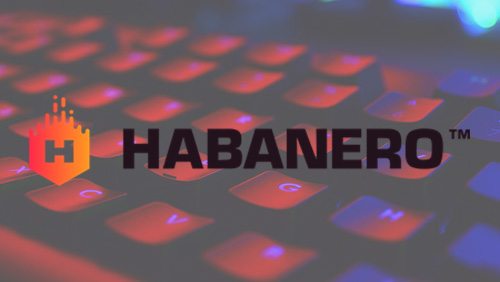 Habanero agrees ORYX Gaming integration