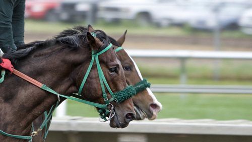 Santa Anita racetrack adds two more casualties to its growing list