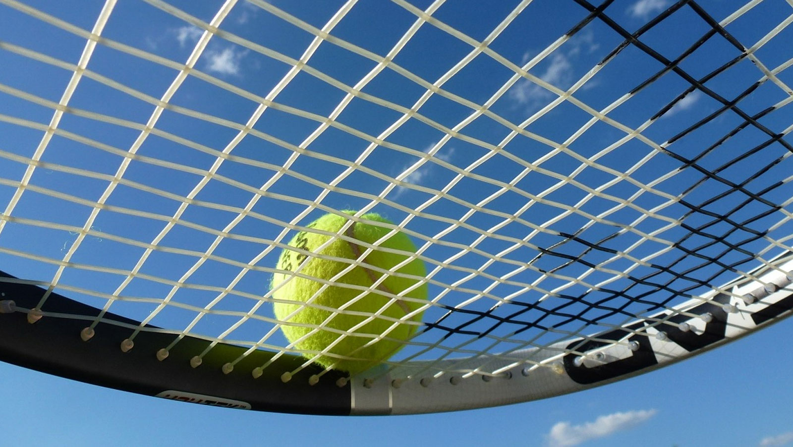 wimbledon-mens-womens-betting-preview