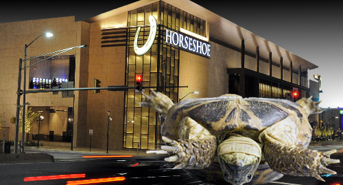 background information about the horseshoe casino baltimore