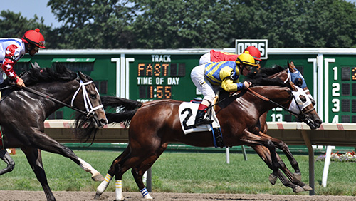 Monmouth Park given a reprieve in sports league lawsuit