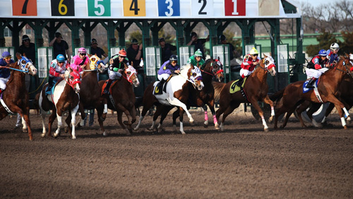 racing-queensland-launches-strike-against-tabcorp