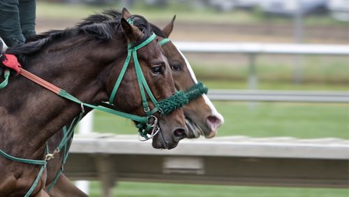 mansionbet-to-extend-horse-racing-sponsorship-throughout-the-uk-ireland