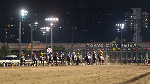 sky-racing-world-launches-japan-nar-simulcasting
