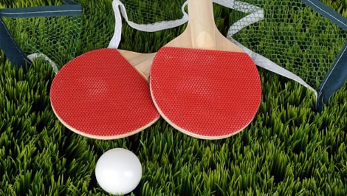 table-tennis-a-surprising-new-sports-book-favorite