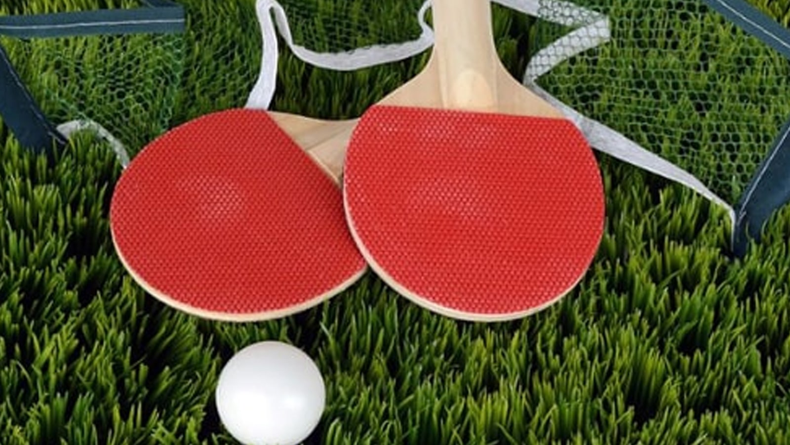 table-tennis-a-surprising-new-sports-book-favorite..