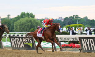belmont-stakes-to-be-first-not-last-race-of-the-triple-crown