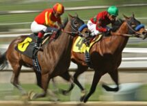 bodog-puts-up-lines-for-tomorrows-virtual-kentucky-derby