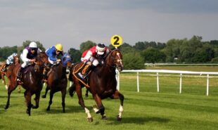 horserace-gambling-goes-online-in-maine