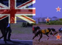 new-zealand-considers-changes-to-the-racing-industry-bill.
