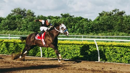 tiz-the-law-highlights-belmont-stakes-odds