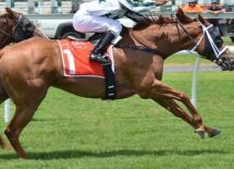 NSW-jockey-Adam-Hyeronimus-guilty-for-illegal-wagers
