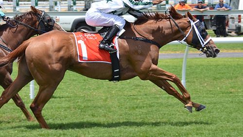 NSW-jockey-Adam-Hyeronimus-guilty-for-illegal-wagers