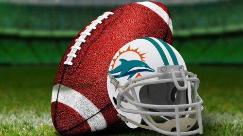 miami-dolphins-hope-fans-will-help-fins-bring-success-to-south-florida