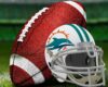 miami-dolphins-hope-fans-will-help-fins-bring-success-to-south-florida