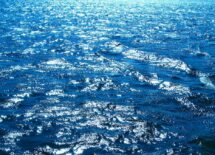 the-solution-to-clean-potable-water-is-right-in-front-of-our-eyes